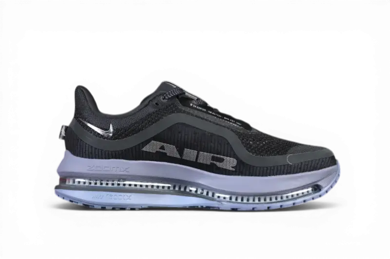 Nike Pegasus Premium  Anthracite HQ2592-006