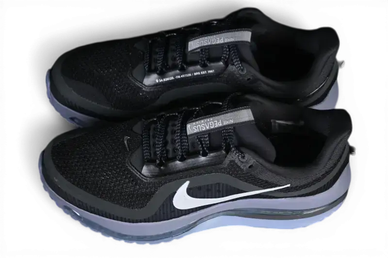 Nike Pegasus Premium  Anthracite HQ2592-006
