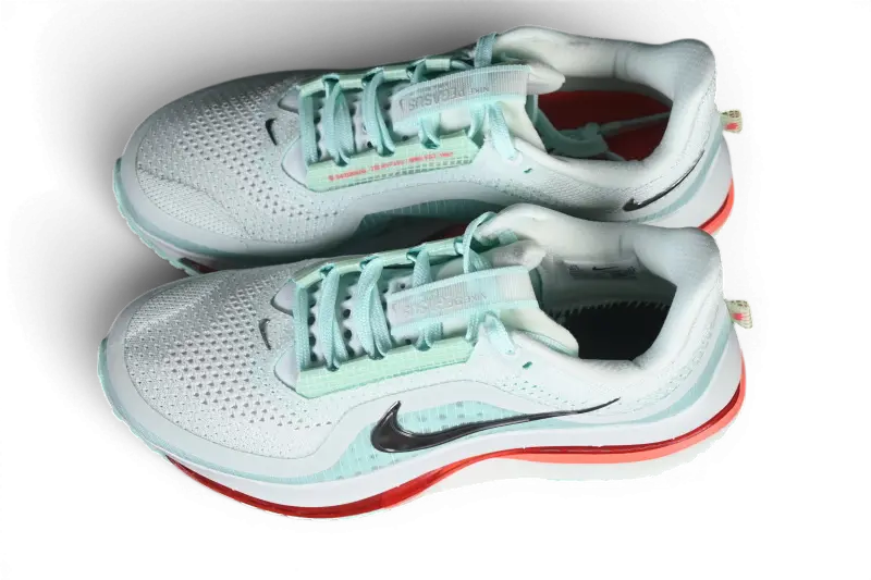 Nike Pegasus Premium  Barely Green HQ2592-301