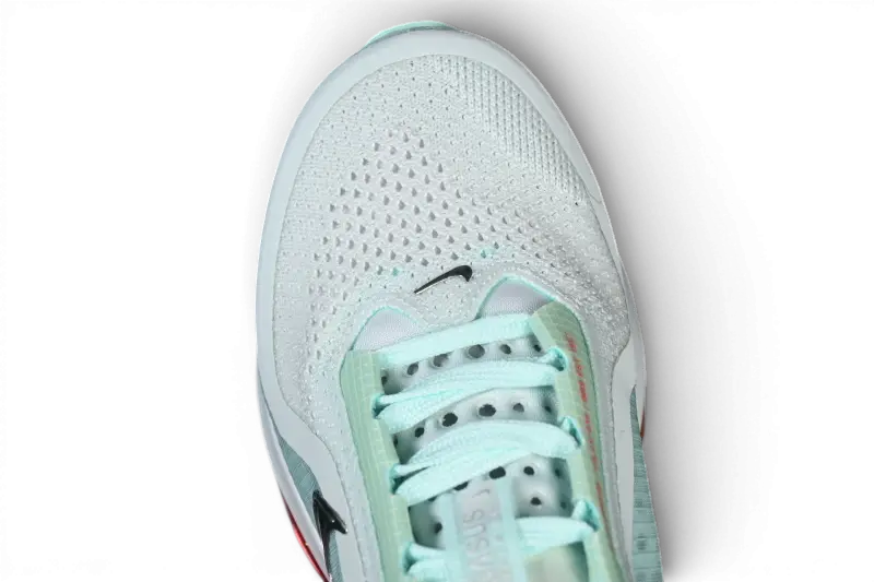 Nike Pegasus Premium  Barely Green HQ2592-301