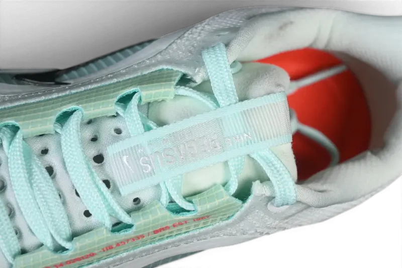 Nike Pegasus Premium  Barely Green HQ2592-301