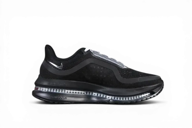 Nike Pegasus Premium SP Black IH4369-001