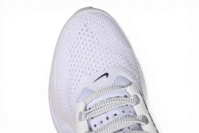 Nike Pegasus Premium  White / Metallic Silver HQ2592-102