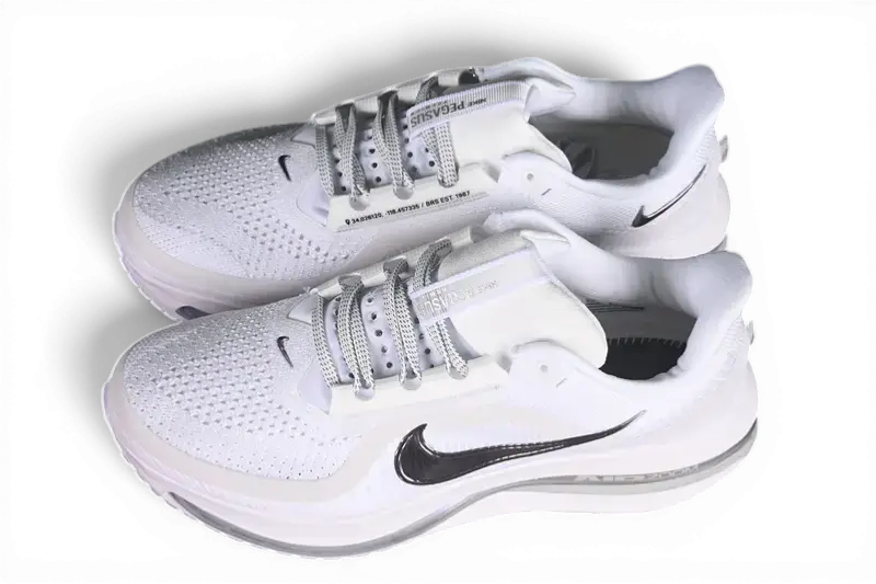 Nike Pegasus Premium  White / Metallic Silver HQ2592-102