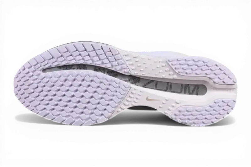 Nike Pegasus Premium  White / Metallic Silver HQ2592-102
