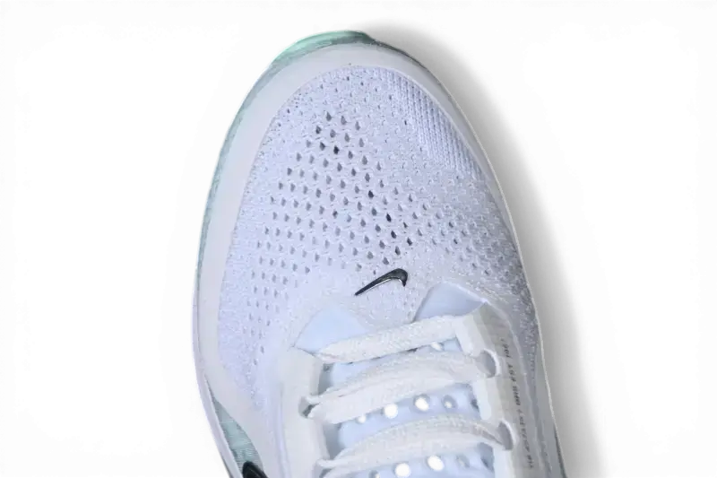 Nike Pegasus Premium  White HQ2593-103