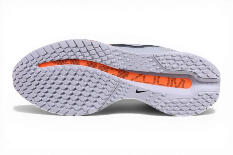 Nike Pegasus Premium Airscape HQ2592-002