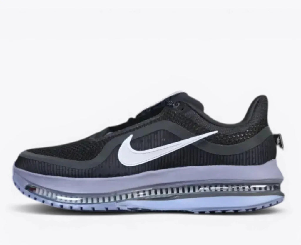 Nike Pegasus Premium  Anthracite HQ2592-006