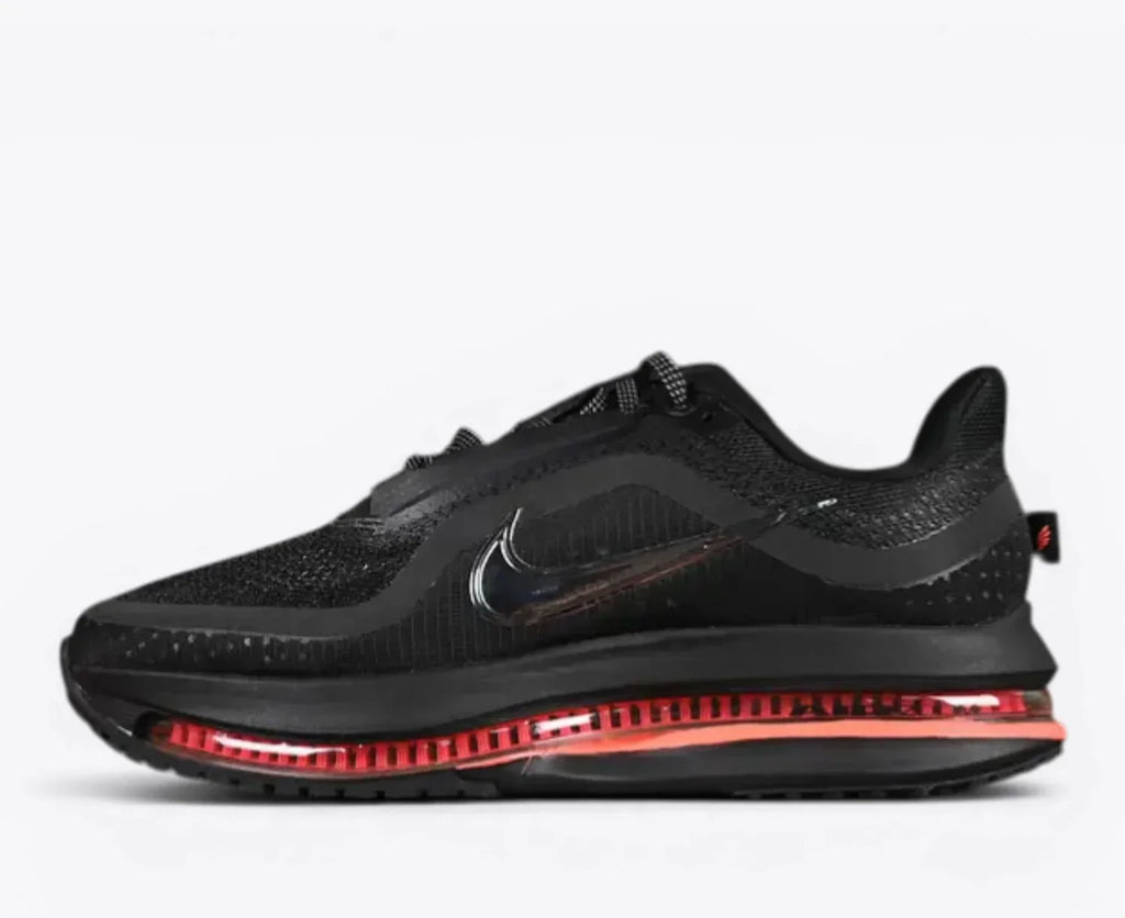 Nike Pegasus Premium Black HQ2593-003
