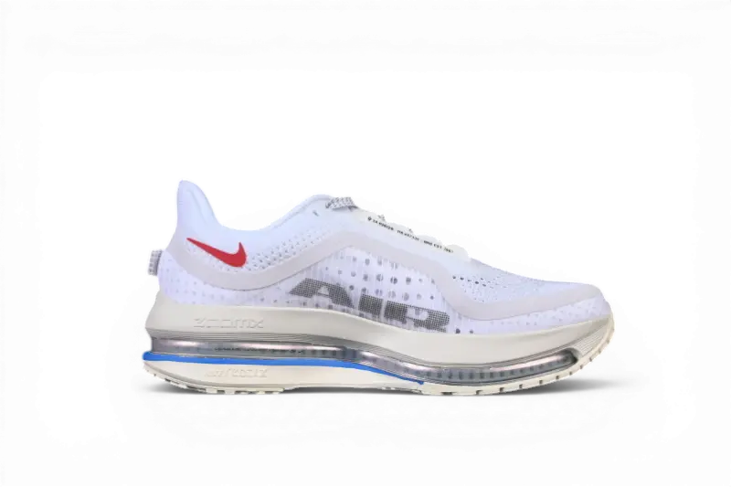 Nike Pegasus Premium Forrest Gump IH7347-111