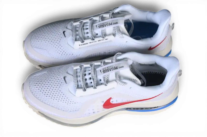Nike Pegasus Premium Forrest Gump IH7347-111