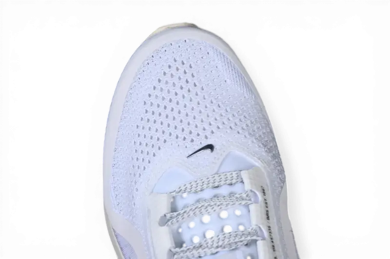 Nike Pegasus Premium Forrest Gump IH7347-111