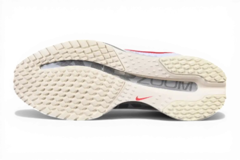 Nike Pegasus Premium Forrest Gump IH7347-111