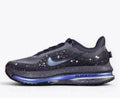 Nike Pegasus Premium SE  Cave Purple IH0861-500
