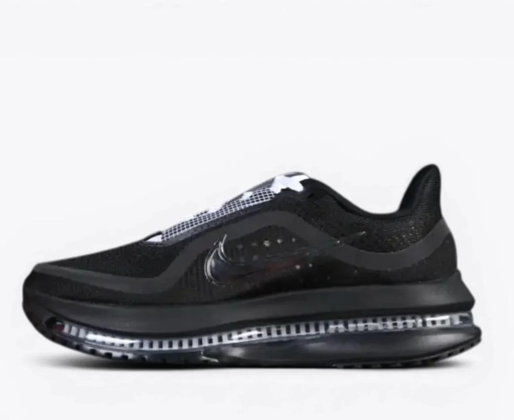 Nike Pegasus Premium SP Black IH4369-001