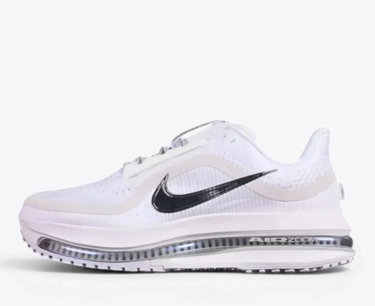 Nike Pegasus Premium  White / Metallic Silver HQ2592-102