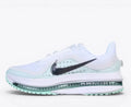 Nike Pegasus Premium  White HQ2593-103